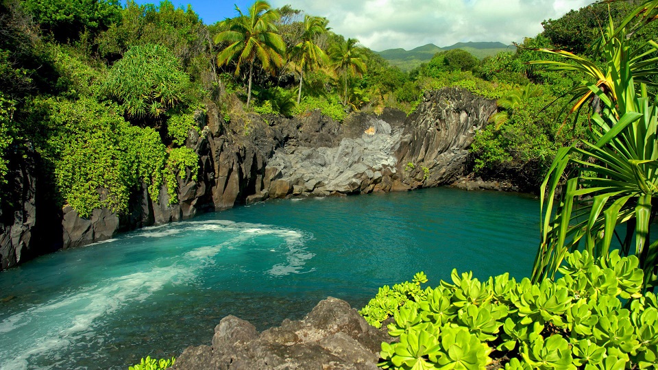 CRUCEROS HAWAII MAUI ISLAS DEL PACIFICO VIAJES DE NOVIOS HAWAII CRUCEROS HAWAI CRUCEROS MAUI CRUCEROS LUNAS DE MIEL PACIFICO CRUCEROS NOVIOS CRUCEROS ROMANTICOS HAWAI